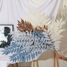 ���~ ���~ ���~��c�~��Y�û�c�b�픷��滨�ٻ����ϻ���·