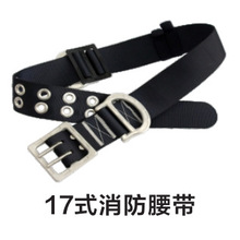 17ʽ���������p�ſ�����