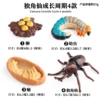 ZZ Unicorn Ending Period [4 sets]