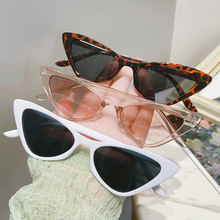 新款跨境潮流女太阳镜猫眼INS时尚Fashion Sunglasses遮阳防晒
