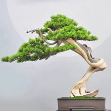 ���������֦�~�������°��ɾGֲ����ӭ���ɘ��~��ʽ���^�쾰���