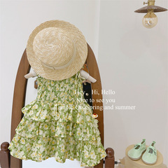 Dropshipping 2024 new summer girls' clothing, small fresh floral suspender dress, cake skirt, baby skirt