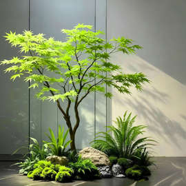 网红仿真青枫树大型绿植酒店景观造景橱窗茶室植物装饰摆件
