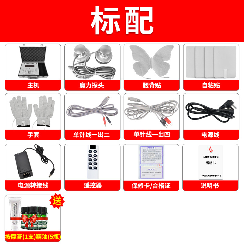 Fisioterapia bioeléctrica Meridian electroterapia instrumento moxibustión guía tee maestro a través del mundo control remoto DDS bioelectroterapia instrumento