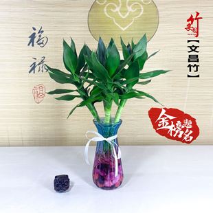 ��Dֲ���҃�ˮ�����x�����F���Ĳ��Gֲ���܎���������4֧��ˮ�B