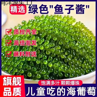 ���������r��ʳ�ݰl�}�n�����߲�ֲ���~���u���厧�˃�ͯ�����I�B