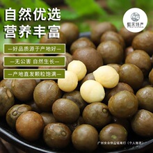 2025���L�������rҰ���u�^�������u�^�״Č������صȮa��ֱ�l����