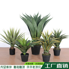 ���������m���m���ԚWʽ�Ҿ��辰�͏d�b[�����l�Gֲ��������
