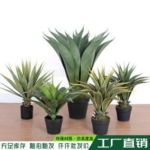 ���������m���m���ԚWʽ�Ҿ��辰�͏d�b[�����l�Gֲ��������