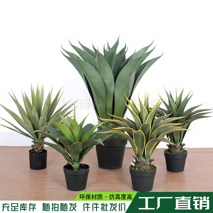 Directo de fábrica simulación Agave gladiolo en maceta hogar europeo bonsai Sala decoración al por mayor