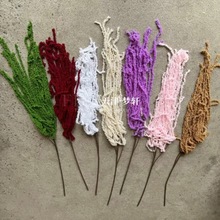 ������׼ٻ� ë�������zɭϵ��Y�����������đ��Ⲽ�÷��滨