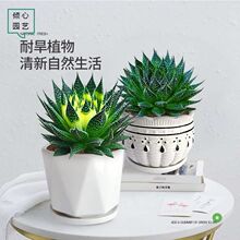 ���u�����J�C�����҃ȾGֲ���ܺ��B�׻��ļ���¶�����Ã����՚�