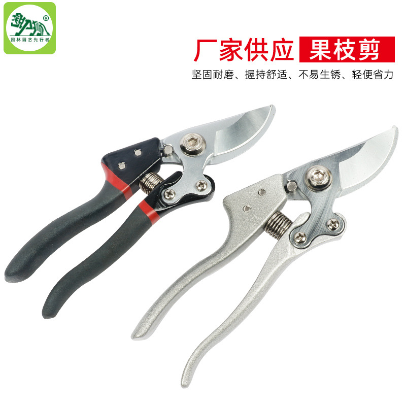 V10果枝剪修枝剪树枝剪苗木花卉修理剪 篱笆剪枝园林园艺工具手动