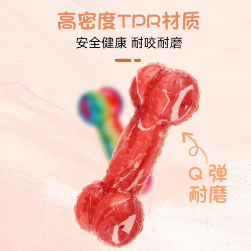 GiGwi Premium Dog Toy with Sound, Chewable Bone Ring for Teething and Barking, Ideal for Teddy, Golden Retriever, Corgi, and Boredom Relief