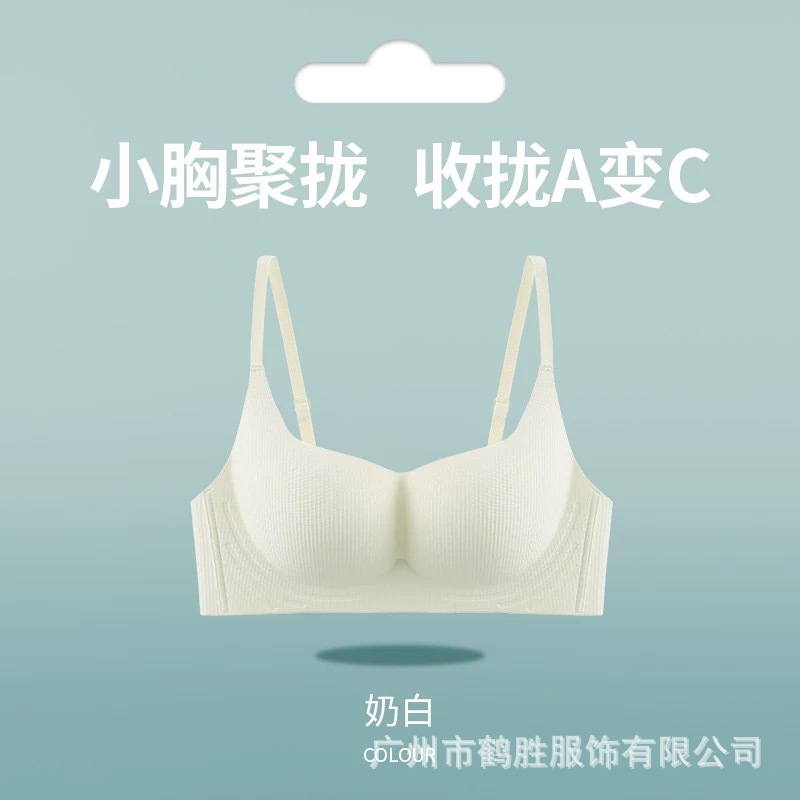 Venta directa de fábrica comercio electrónico transfronterizo Sudeste de Asia Vietnam Tailandia damas sin costuras sujetador de recogida lateral cómodo