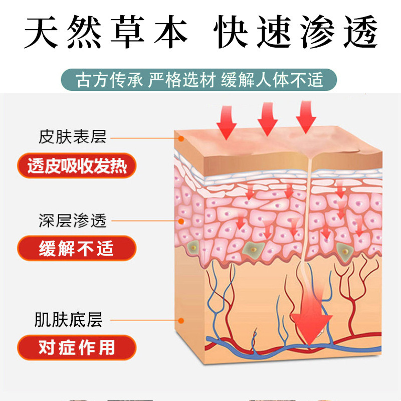 チベット薬香脂「追風」貼り薬 黒色軟膏 腰・脚・首・肩の痛み・関節痛緩和 老年者向け健康用品|undefined