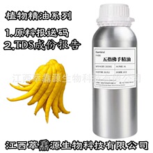 ������ָ���־�����ָ�㙴���ͣ���Ƥ��ե���̷ָ����o�w��ĦSPA