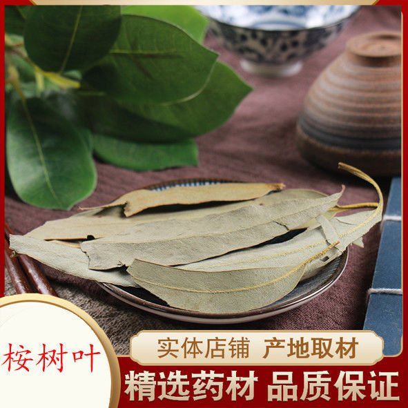 中药材 桉树叶 大桉叶 大叶桉 大按树叶 大桉树叶 橡树叶桉叶包邮|ms