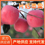 水果批发代发山东烟台红富士苹果新鲜应季脆甜一级果