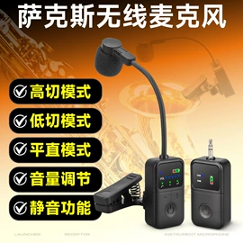 麦克风/话筒;其他音响设备;专业话筒