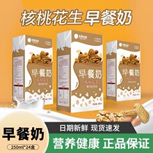 年货礼盒忠厚核桃花生早餐奶250ml*24盒学生老人牛奶饮品整箱群木