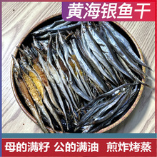 丹东黄海银鱼干 带籽带油油滚子面条鱼 海鲜小青鱼干