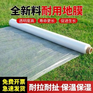 White Plastic Film Agricultural Insulation and Moisturizing White Plastic Film for Greenhouse Plastic Film Vegetable Seeds Winter Black Engineering Film