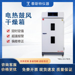 鼓风干燥箱定制OEM泰斯特直营WGL实验室工业烘箱恒温箱