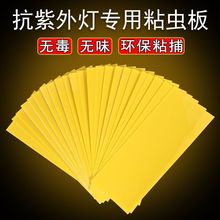 ճМωճωճxωnωßճwx