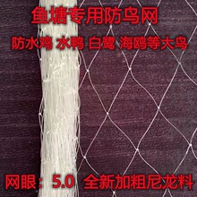 �����ŷ��B�W���B��������Bֳţ�����r���q�����~����W5.0