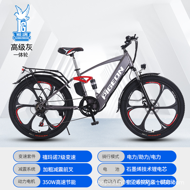Flying Pigeon Batería de litio 400W Bicicleta de montaña eléctrica Nuevo estándar nacional para adultos Bicicleta de batería para hombres y mujeres