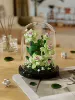 Qingfeng Xulai+Transparent Flower 235PCS