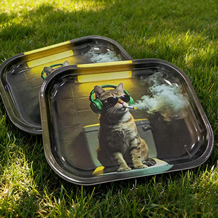 18*14cm�羳Tray�R���F�����P���ٲ����P�ռ{�PС����F�P�F؛