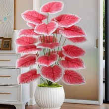 ����Gֲ���컨��c�b����ϼt�~ֲ�ﱱ�W�L�҃�������b[��