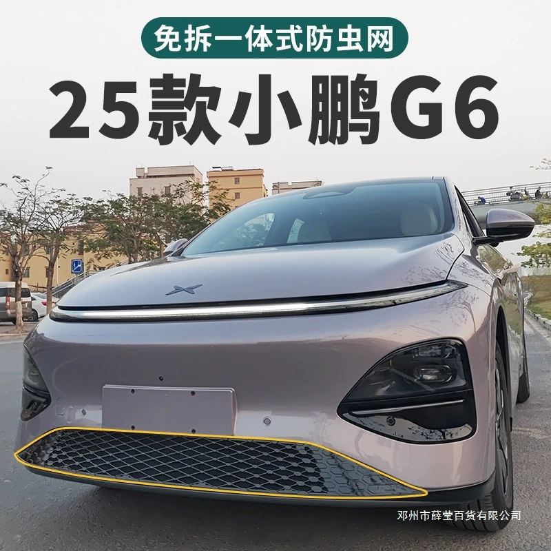 Xue Ying 25 моделей сетки от насекомых Xiaopeng G6, защитная сетка без разборки, 2025 моделей модифицированных автомобильных аксессуаров Xiaopeng G6