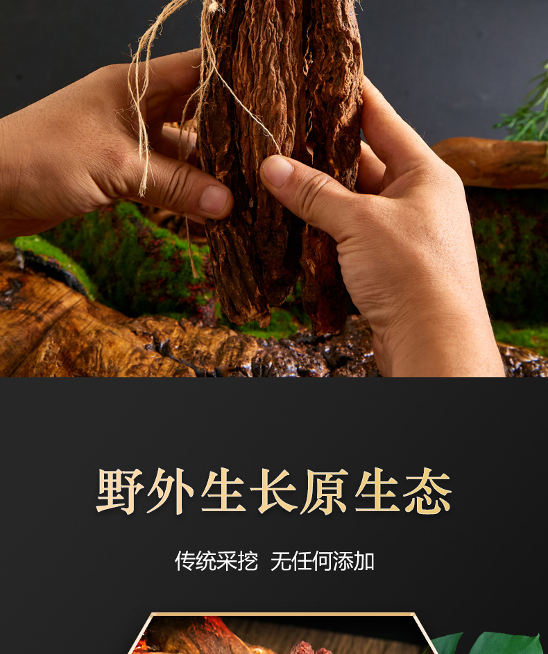 Dried Cynomorium Songaricum Whole Roots Suo Yang 500g Warming Herbal Tonic for Tea and Soup quality and texture