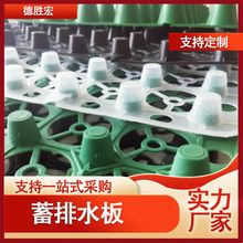 排水板 畜水板批发 车库地下室顶板绿化材料