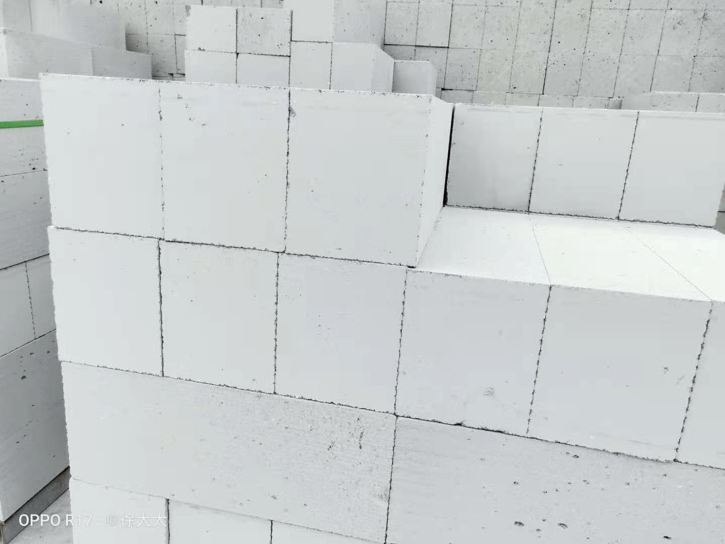 厂家直供京津冀建筑用混凝土实心水泥砖砌块蒸压加气砖定制批发