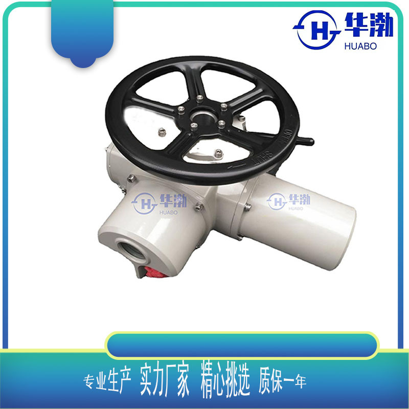 多回转Z型系列阀门电动执行器DZW15-18输出力矩150NM电动执行机构