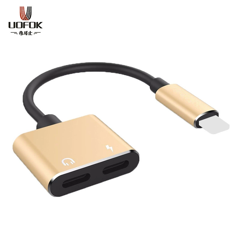 Подключаемый к Apple iPhone X/ iPhone 14/ XR/ XS двойной Lightning наушники аудио переходной кабель конвертации для iOS14