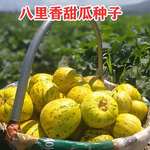 八里香甜瓜种子花皮甜瓜香瓜籽农家田园菜地春夏易种瓜果蔬菜种子