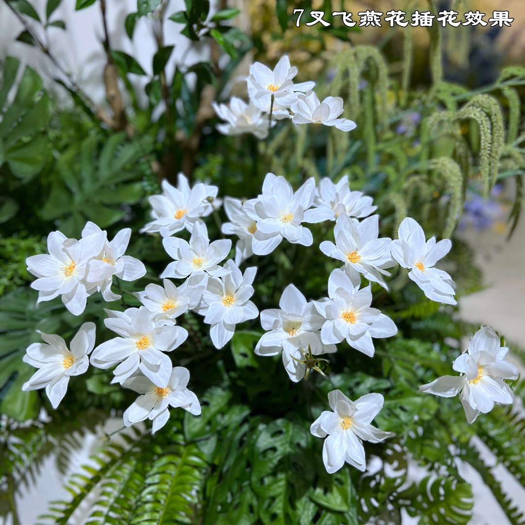 微信图片_20220406122956_副本_副本.jpg