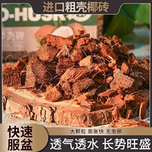 粗椰壳砖兰花专用营养土蝴蝶兰植料石斛兰花卉君子兰椰糠脱盐椰砖