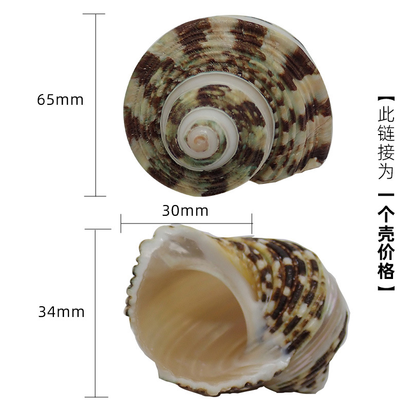 4-5cm 크랩에 적합한 다크 카키색 x90 트랙 녹색 달팽이