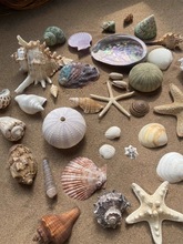 ؐ~쾰Сݚֹb˱ؐ~ľзˇƷ