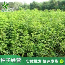 ľM뻱N ̻໨ľm֦СڻGݷN