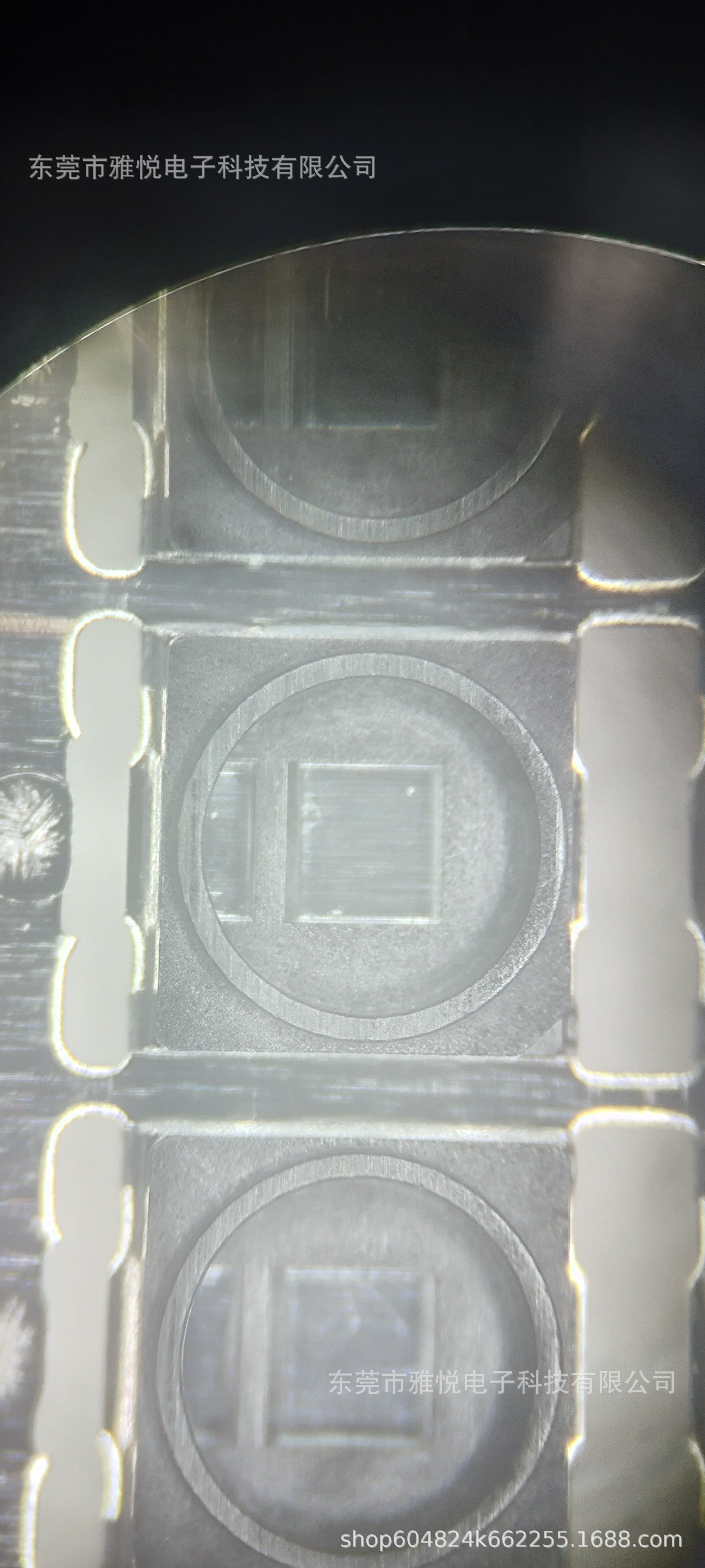 微信图片_20241016174917