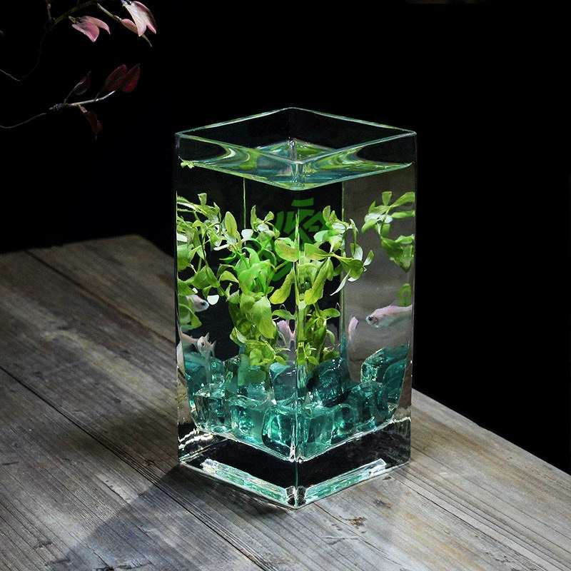 Yut [11 000 коллекций] Толстый квадратный стол стеклянный аквариум для рыбы гидропонная ваза прямоугольная