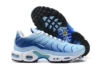 TN bottom-39-47-sky blue light blue white hook