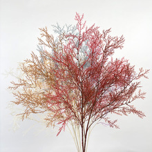 仿真雾凇草批发 迷雾凤尾干花婚庆仿真花吊顶假花 4叉仿真迷雾花